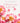 Fall in Love with Me Collection Audiobook