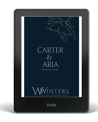 Carter & Aria #4: Endless ebook