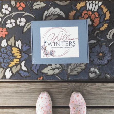 Mystery Book Lover Box - Willow Winters